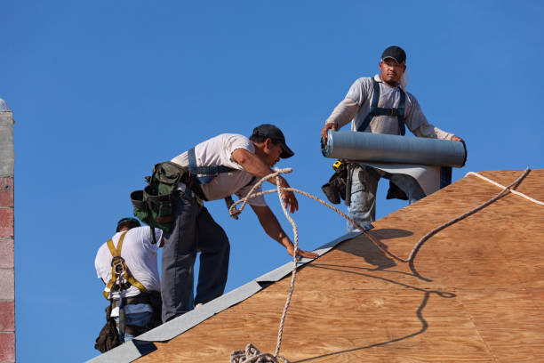 Best New Roof Installation  in Lynden, WA