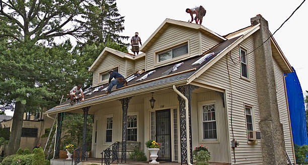 Quick and Trustworthy Emergency Roof Repair Services in Lynden, WA